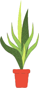 Contact heating and plumbing services plant